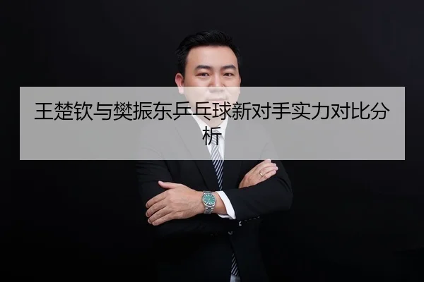 王楚钦与樊振东乒乓球新对手实力对比分析