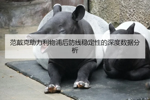 范戴克助力利物浦后防线稳定性的深度数据分析